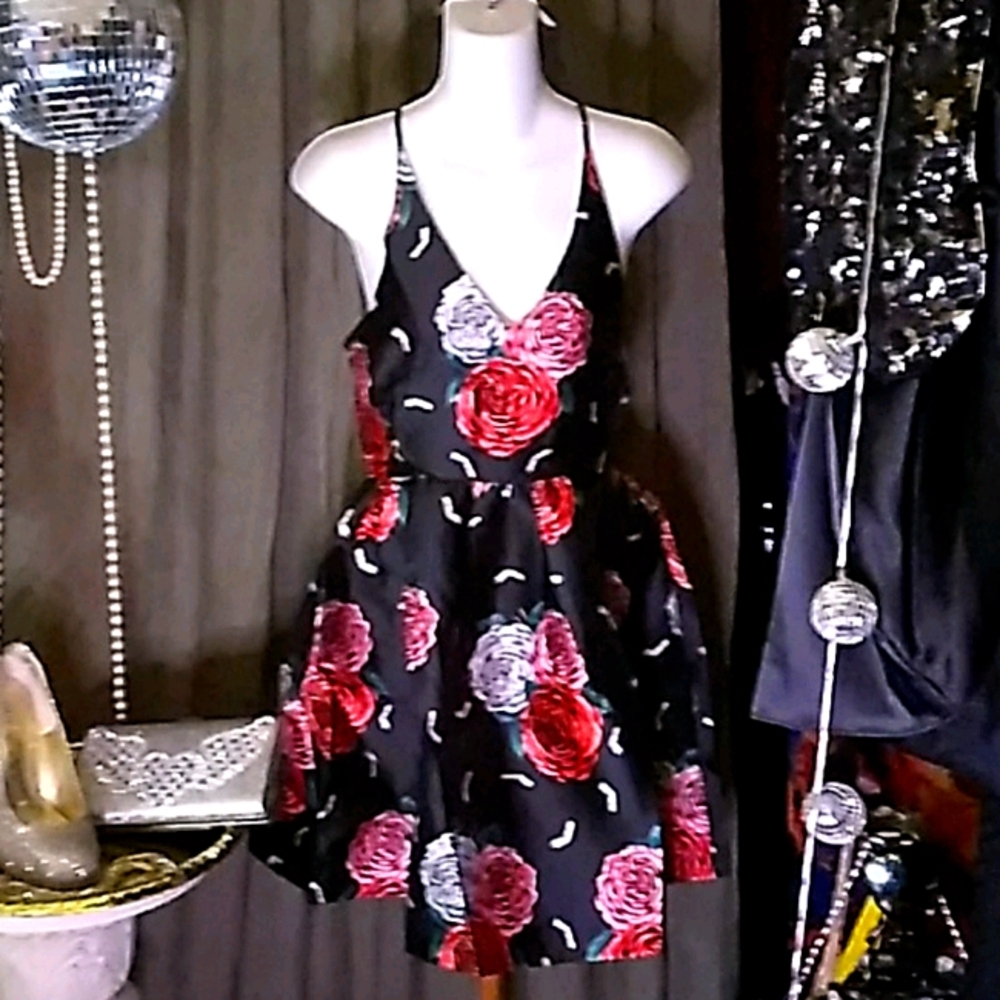 Roses and Cigarettes Dress
